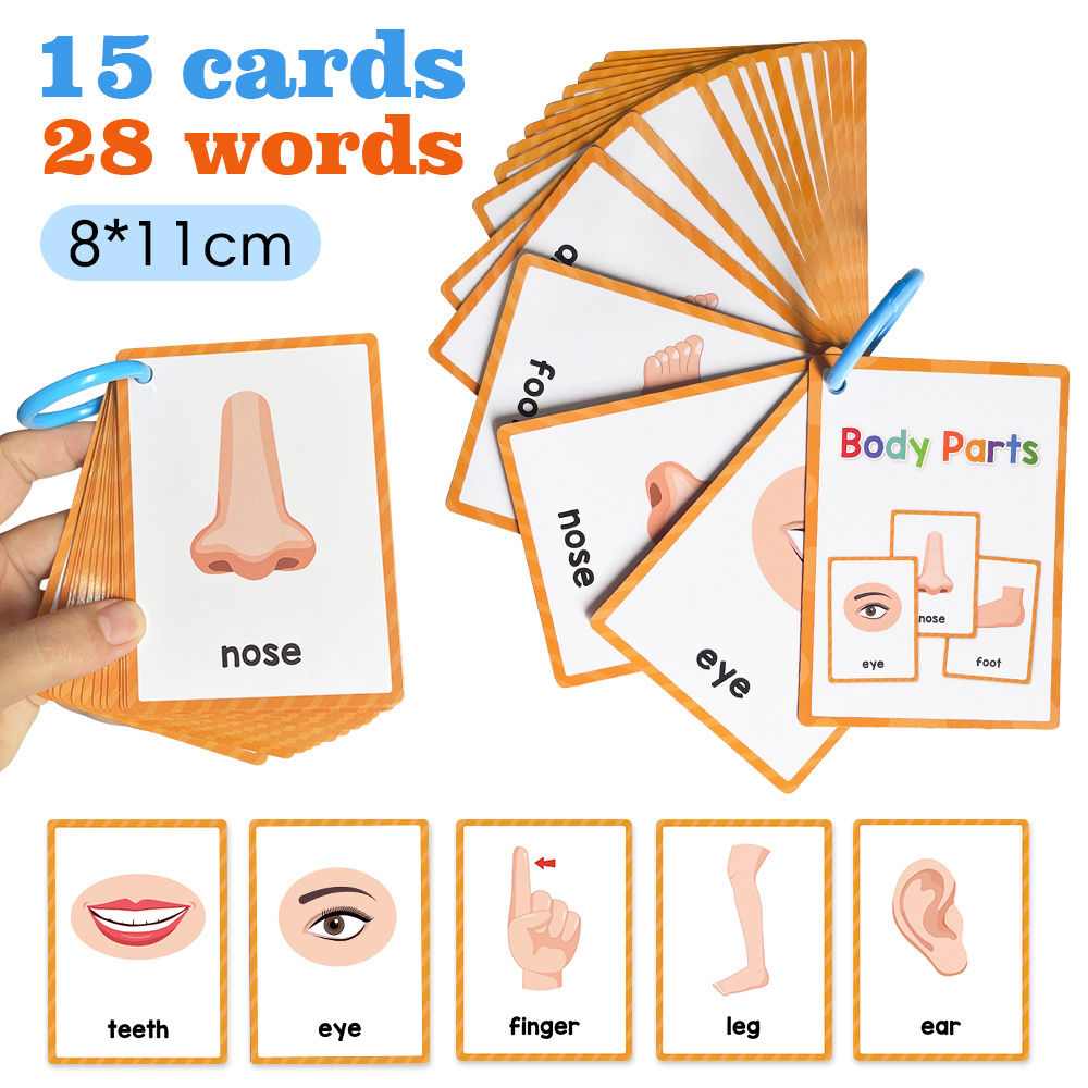 15 Cards 28 Words Youngsters English words Body Parts Cognitive Card learning Flash Cards for Youngsters Education Enlightenment English Learning Card - Image 4