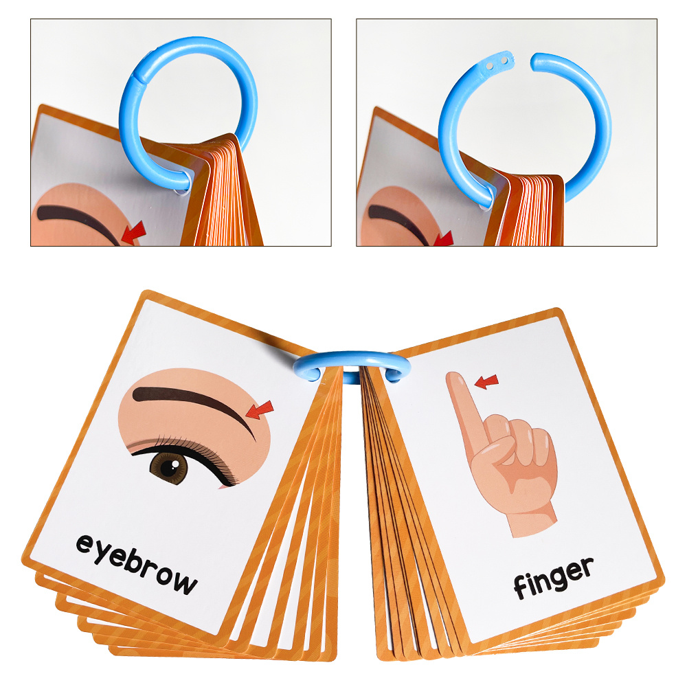 15 Cards 28 Words Youngsters English words Body Parts Cognitive Card learning Flash Cards for Youngsters Education Enlightenment English Learning Card - Image 5