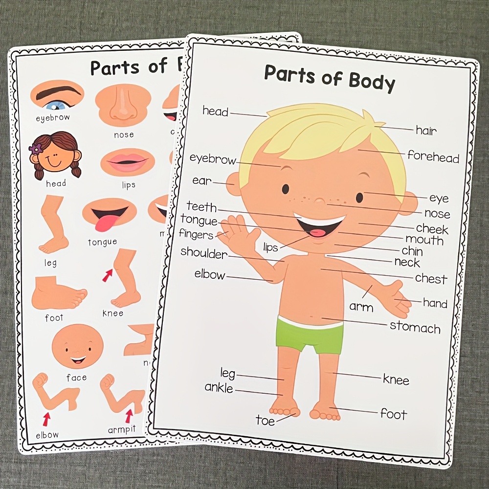 2pcs Learning Body Parts Words Preschool Classroom Decoration Posters Home School Supplies School Educational Poster Eid Al-Adha Mubarak - Image 2