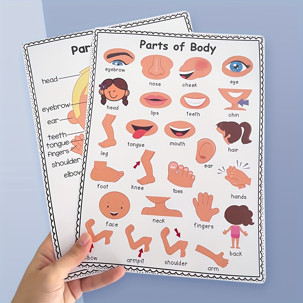 2pcs Learning Body Parts Words Preschool Classroom Decoration Posters Home School Supplies School Educational Poster Eid Al-Adha Mubarak - Image 5